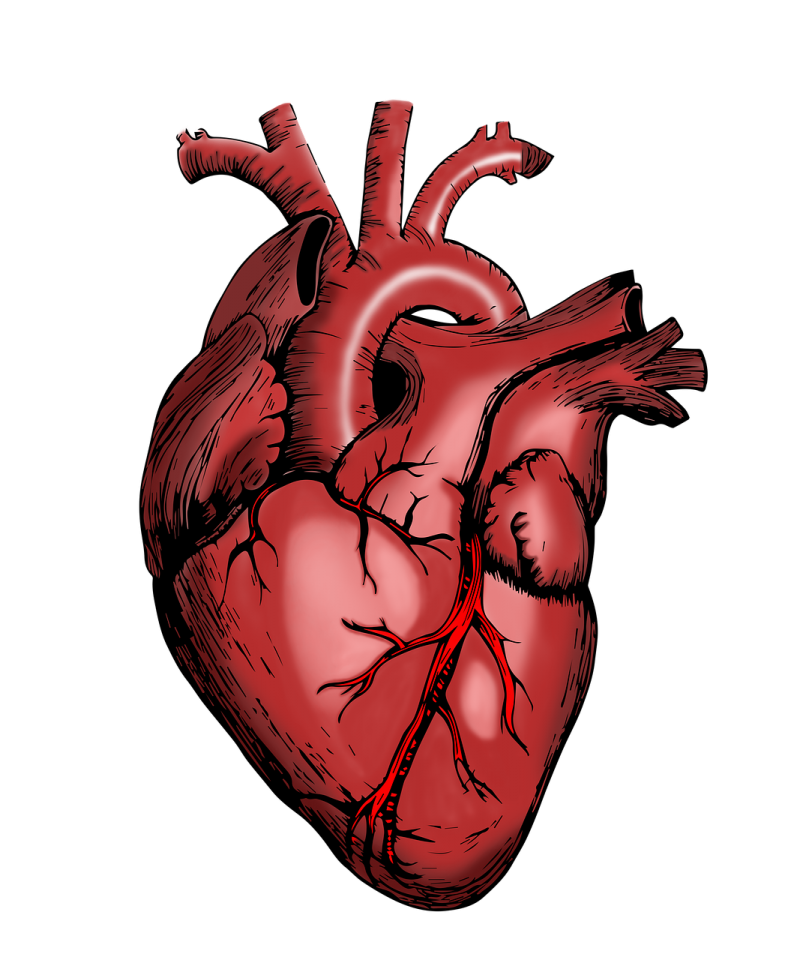 best-heart-specialist-in-chandigarh-63653561f04b9.png